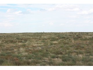 Property photo 66 - LAND AUCTION, 3255+/- Acres offered in 13 Tracts